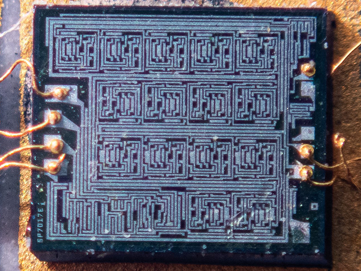 Seiko-CMOS.jpg